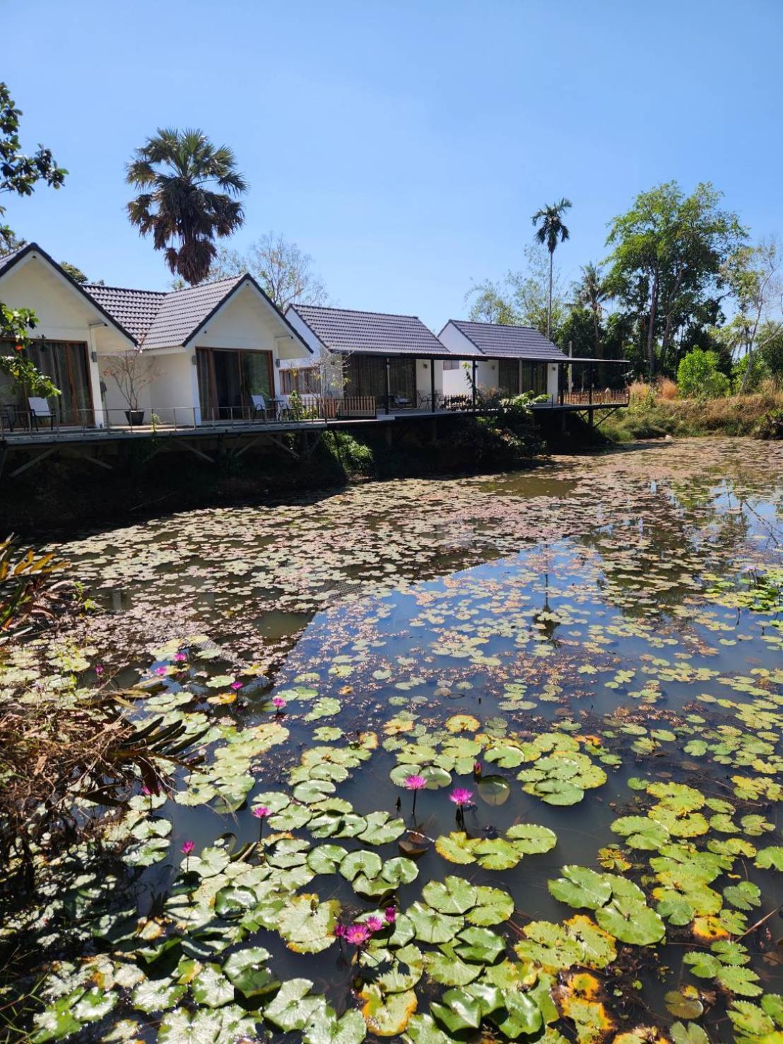 The Duck Cafe And Resort Trat Eksteriør billede